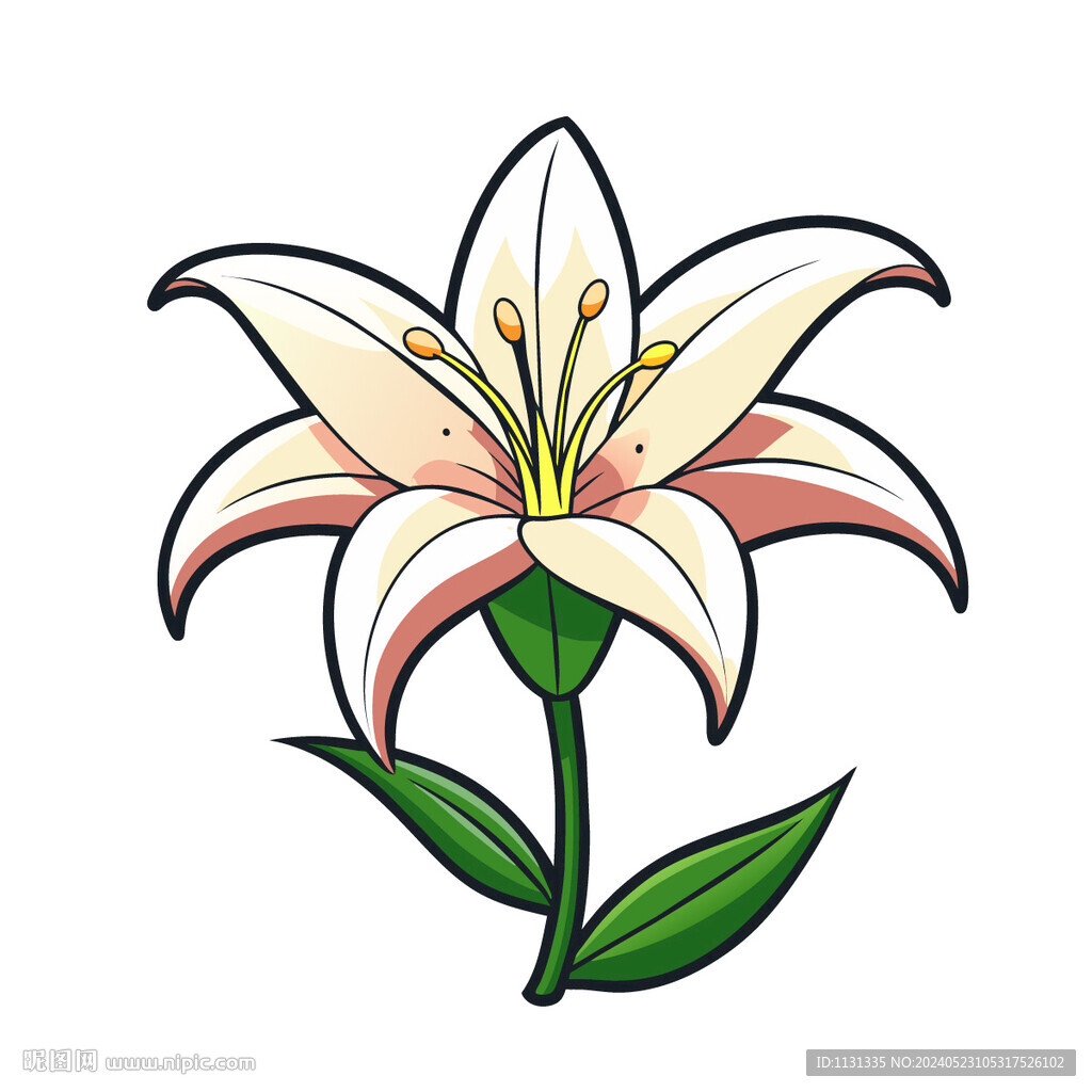矢量植物花朵百合花