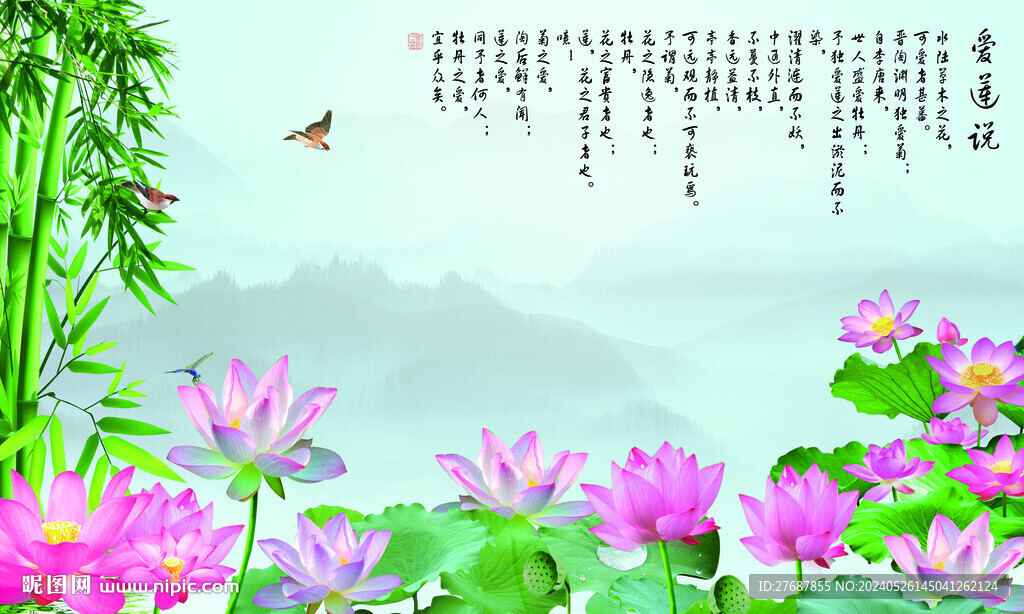 荷花背景