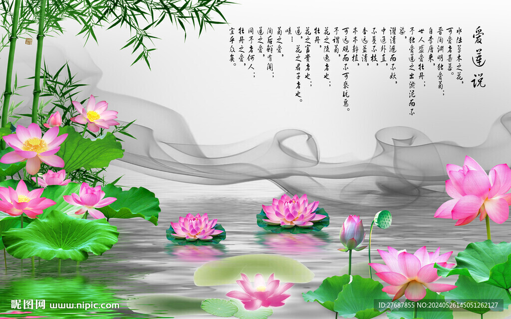 荷花圖