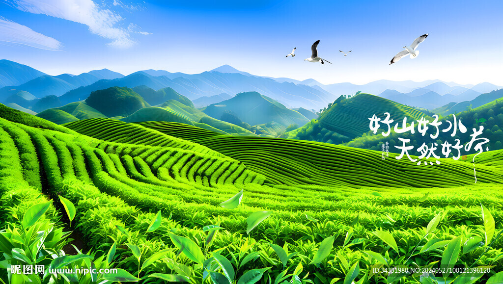 茶山