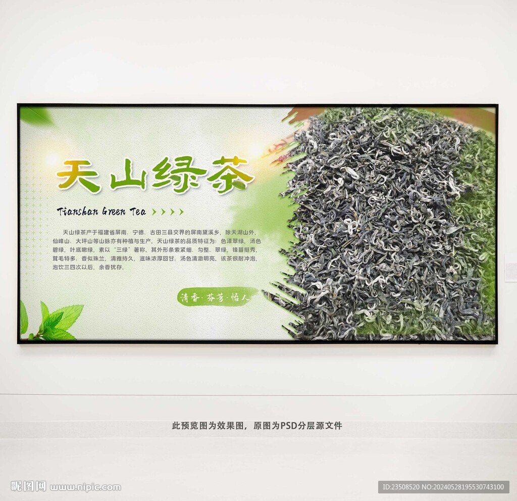 天山綠茶葉展板