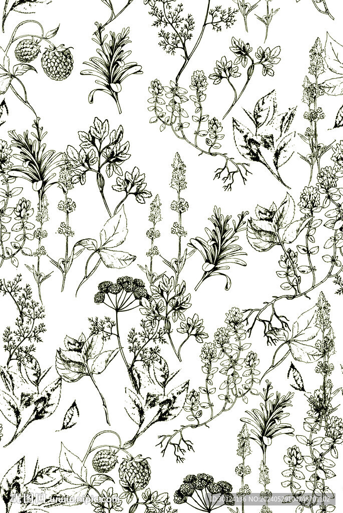黑白花  數(shù)碼印花   矢量花