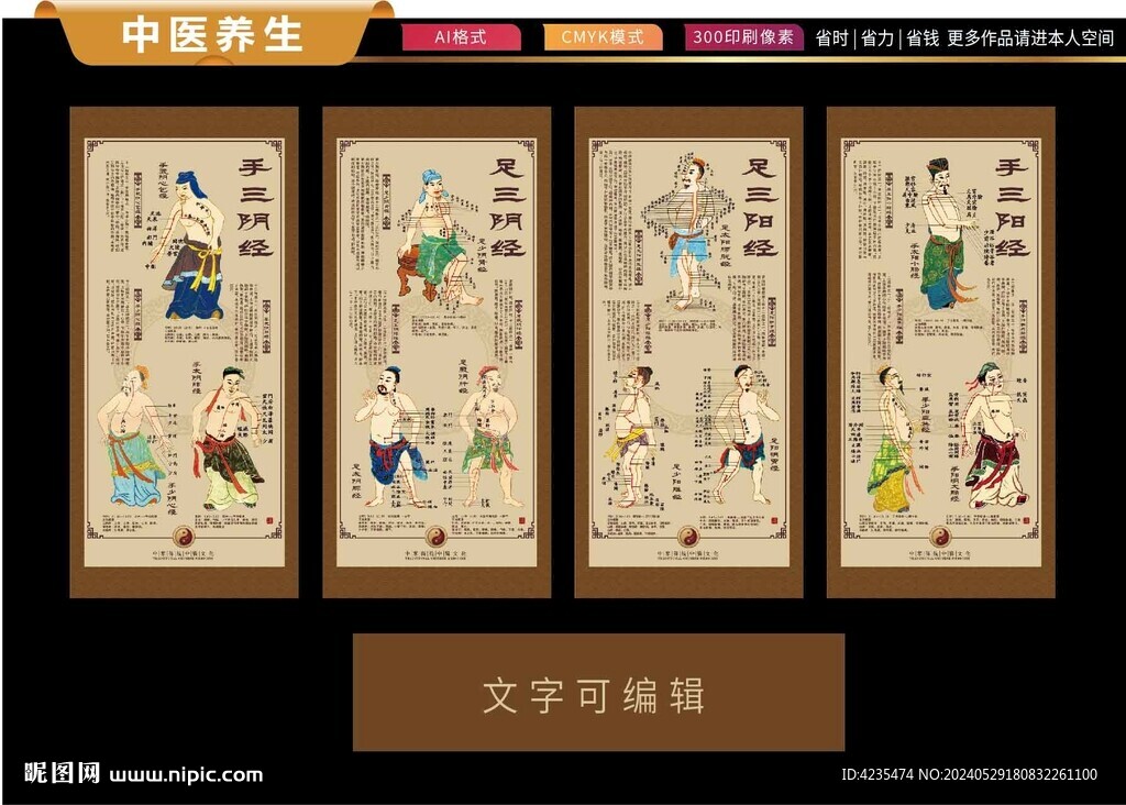 十二經絡圖