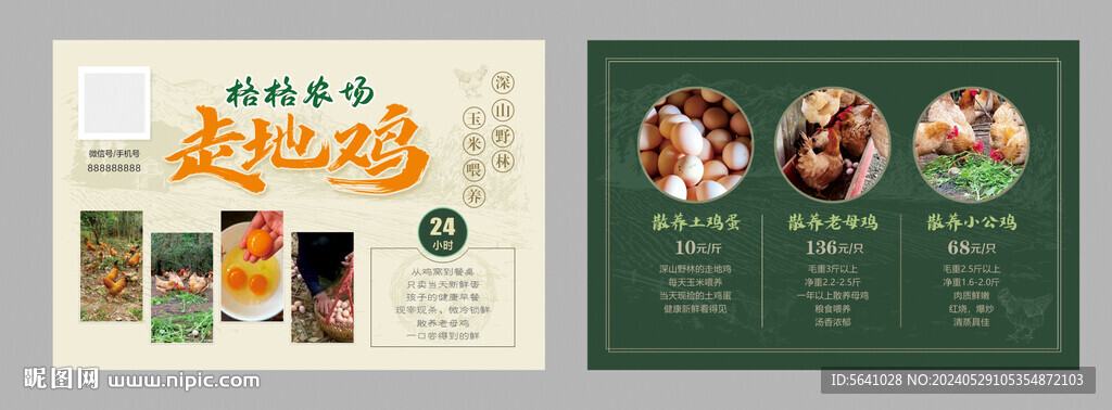 雞蛋土雞蛋土雞 
