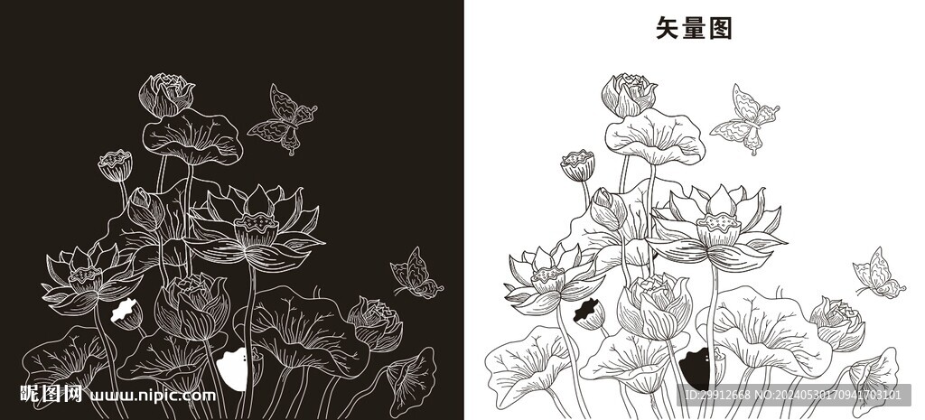 荷花線稿
