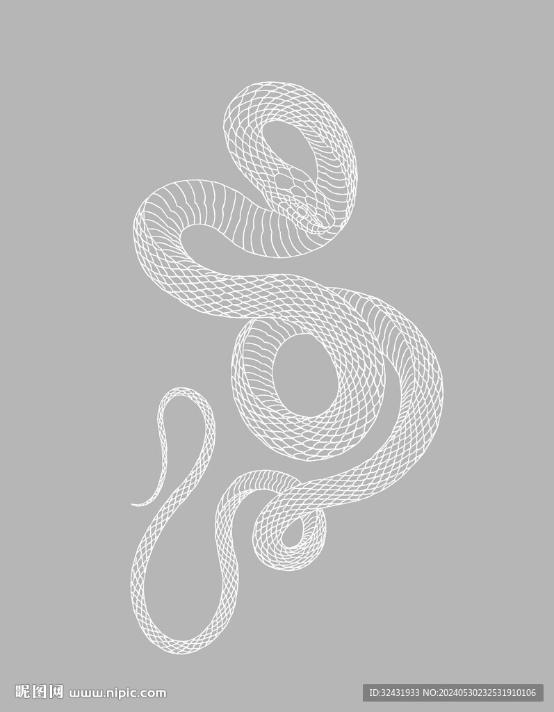 矢量生肖 蛇