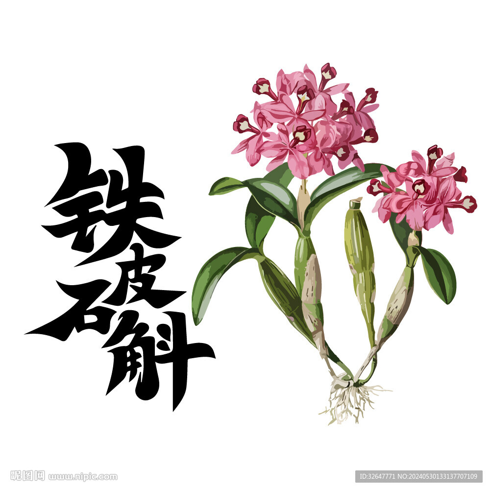 鐵皮石斛