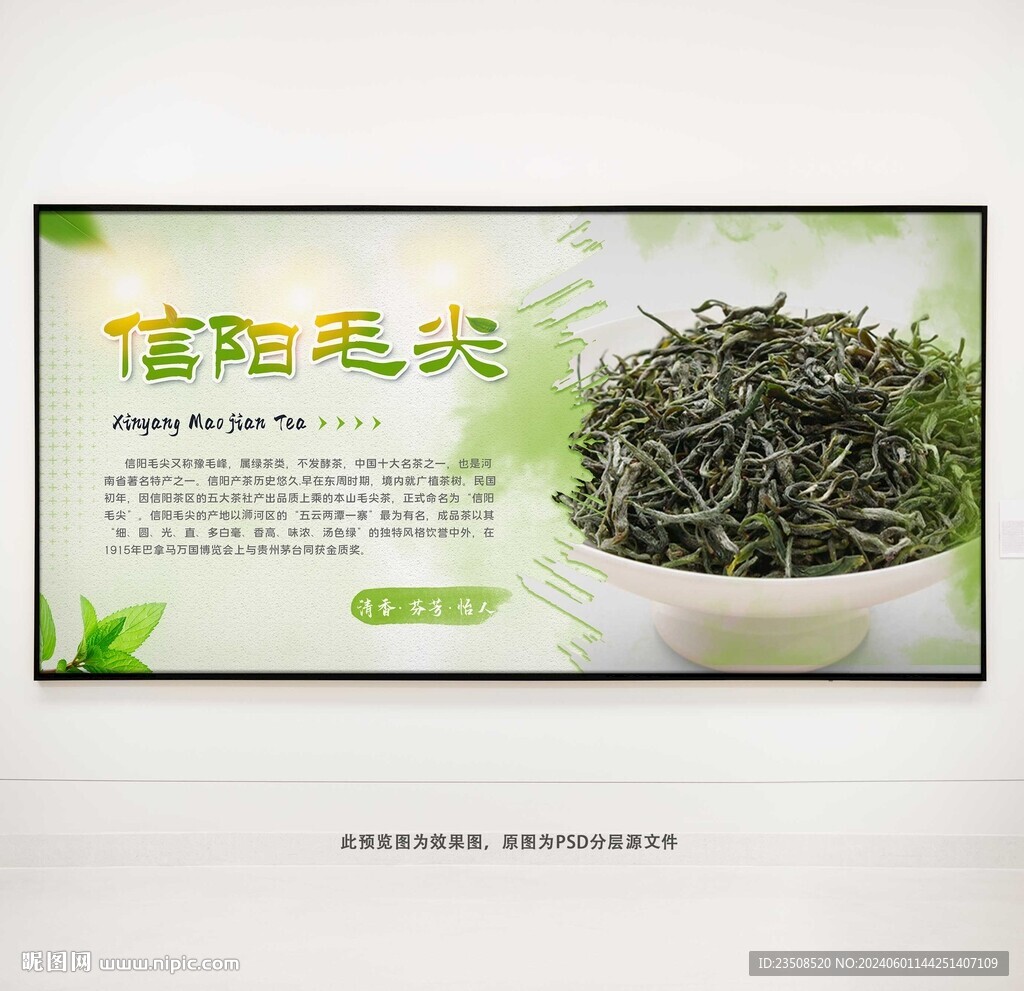 信陽毛尖茶葉展板