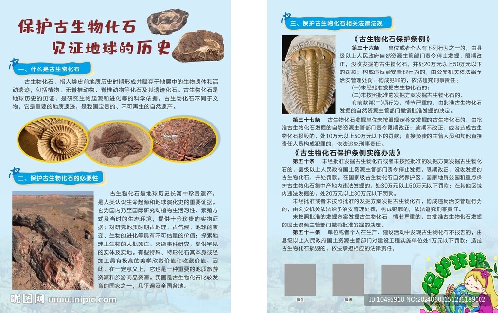 保護化石
