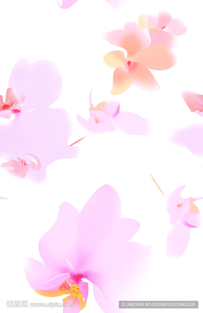 花朵蝴蝶蘭