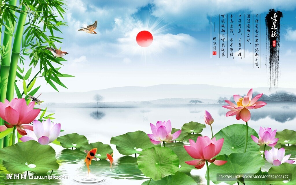 荷花背景