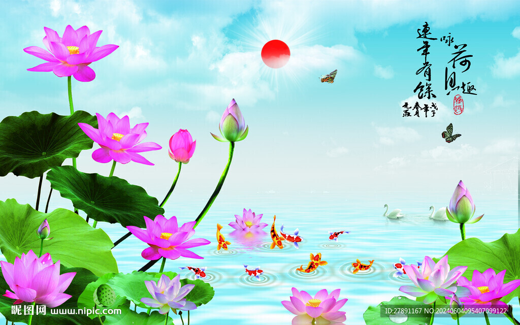 荷花圖