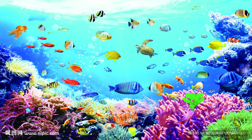 海洋 魚