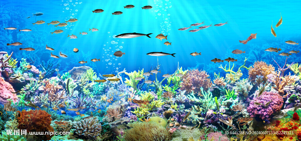 海底世界 魚群