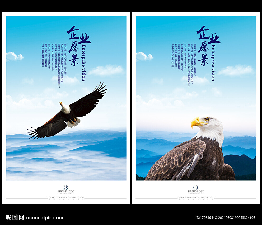 鷹擊長空