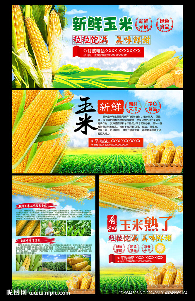 玉米海報展板宣傳單