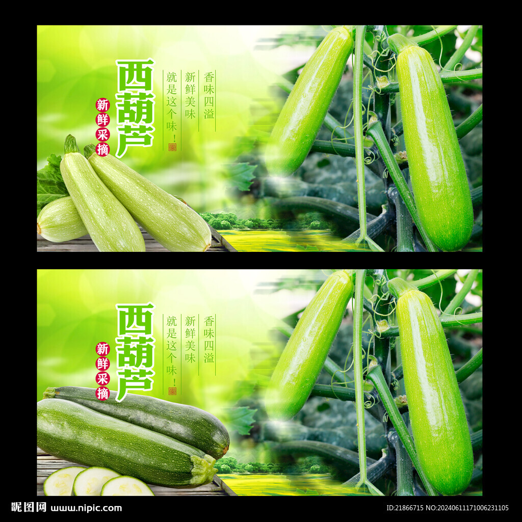 西葫蘆