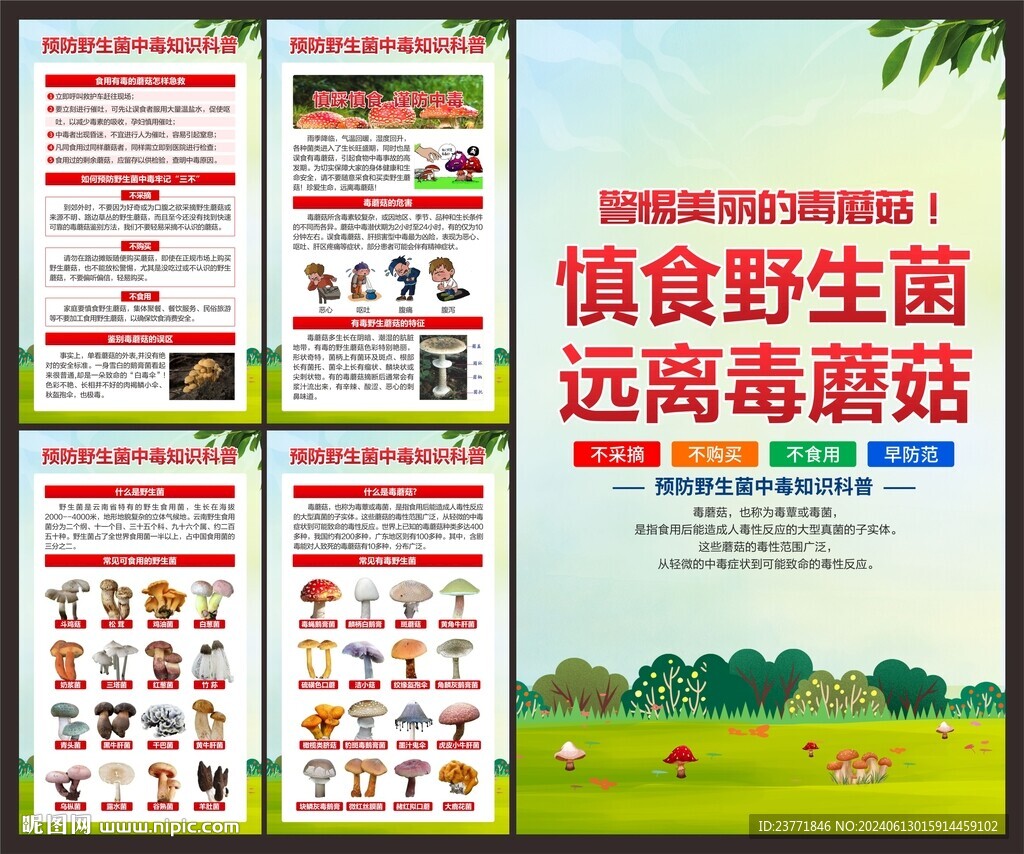 毒蘑菇中毒展板