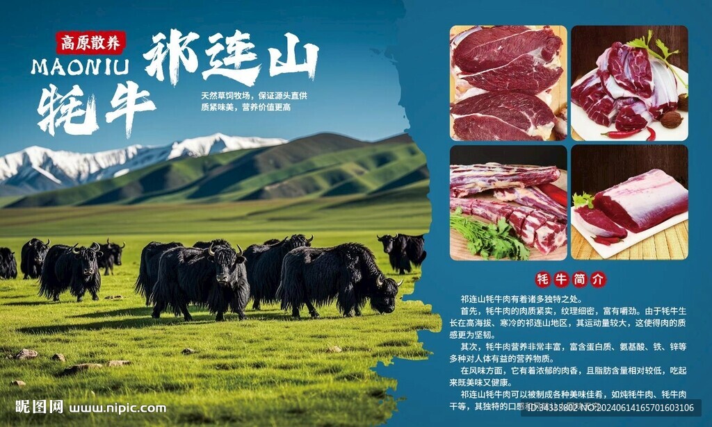 高山牦牛海報燈箱鮮牛肉高清簡介