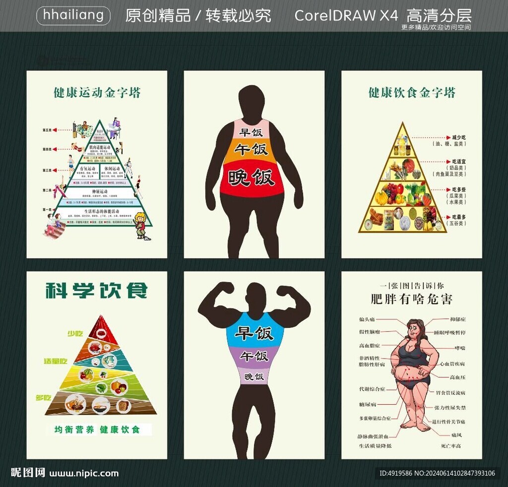 科學飲食 健康運動金字塔