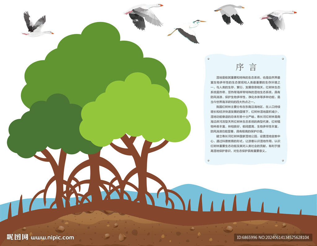 紅樹根造型
