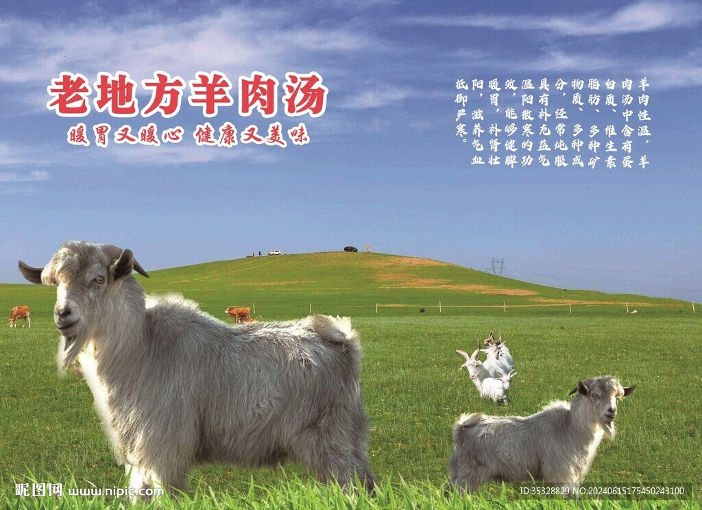 羊肉湯燈箱