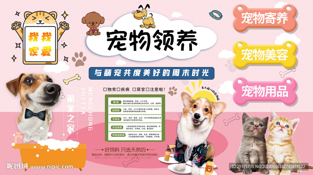 寵物領(lǐng)養(yǎng)背景墻