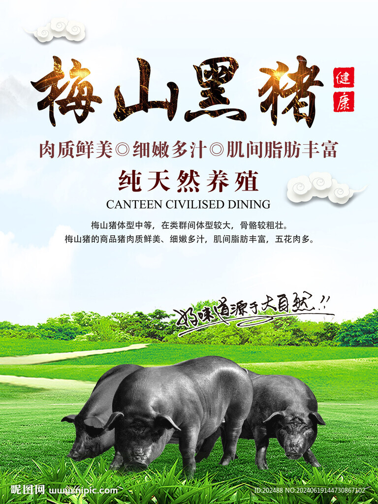 梅山黑豬