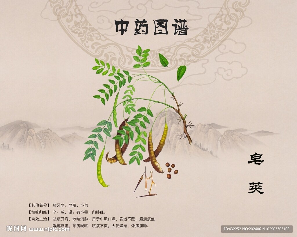 皂莢皂角