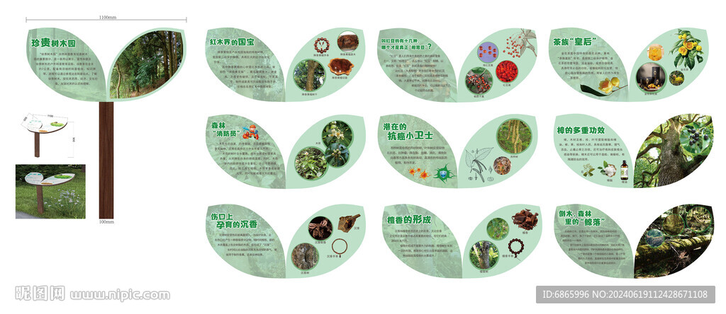 植物單體介紹牌