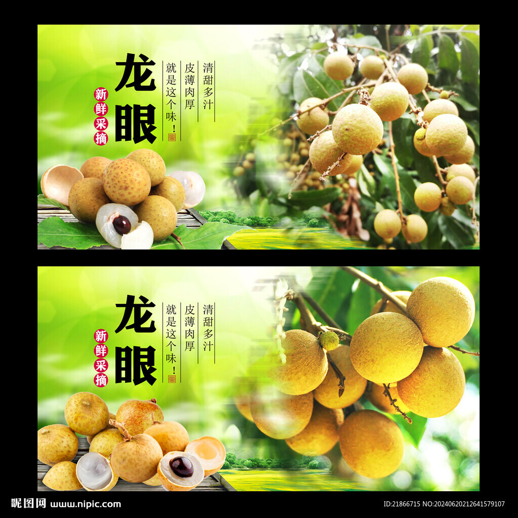 龍眼