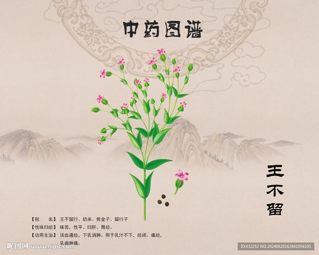 王不留行