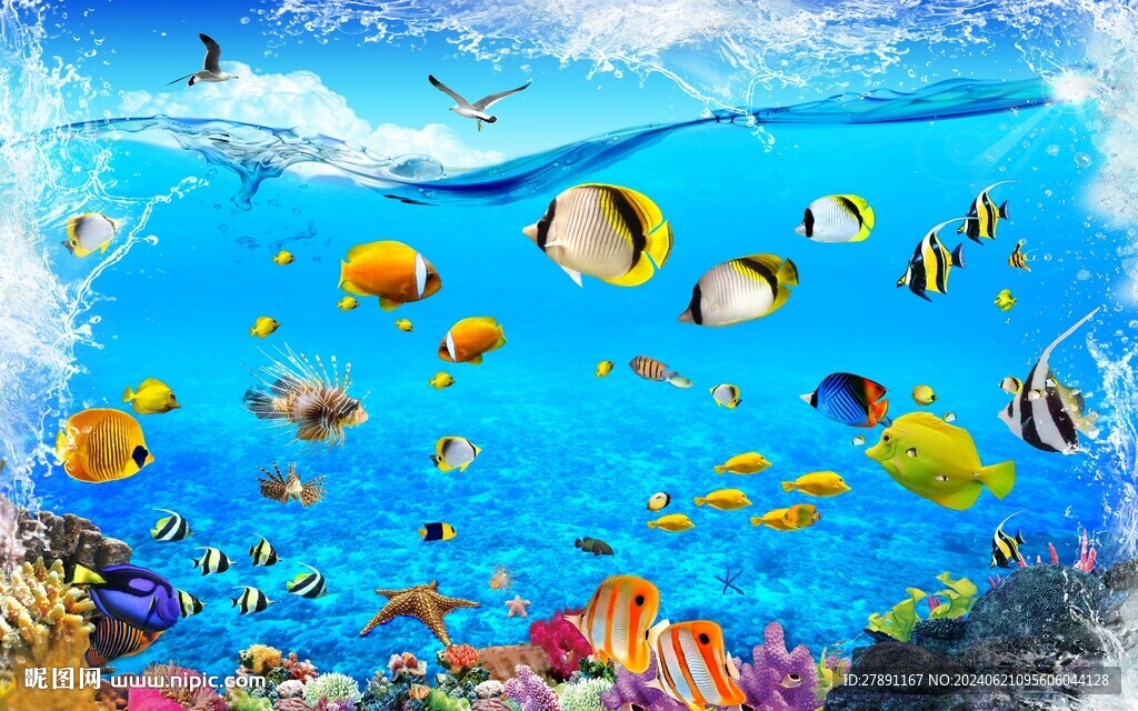 海底魚群