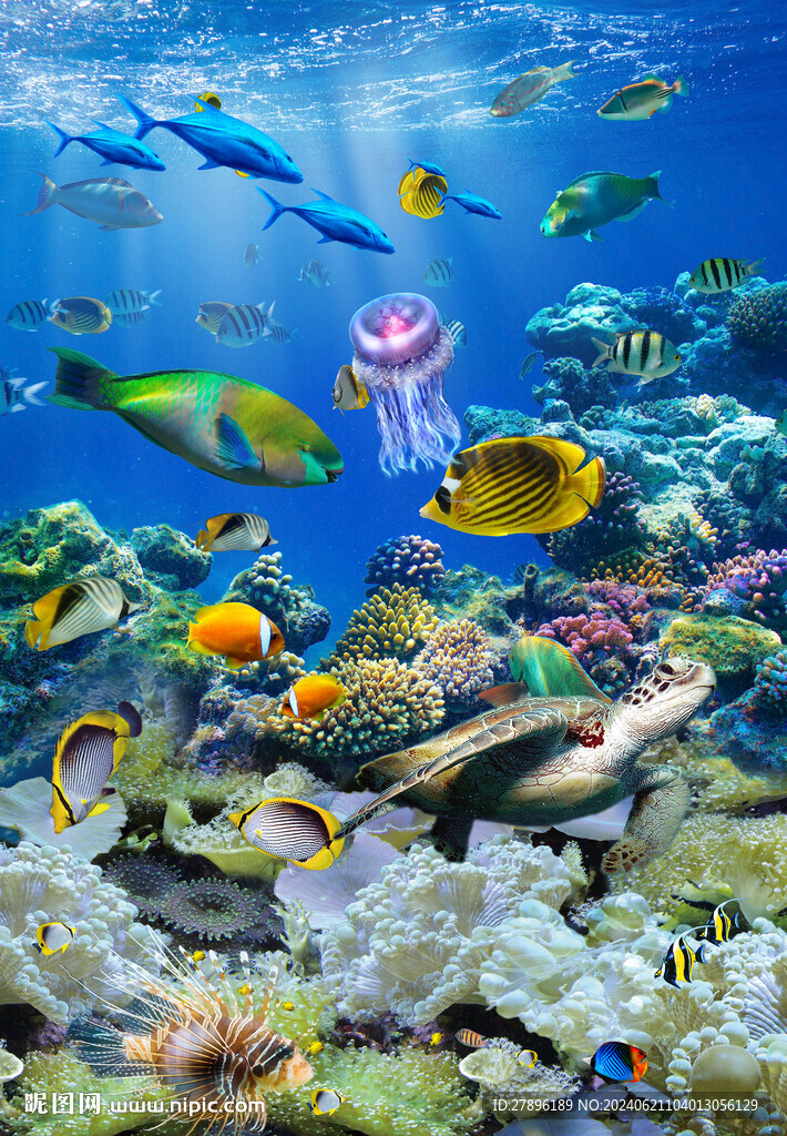 海底魚群