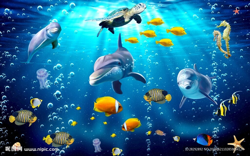 海豚魚群