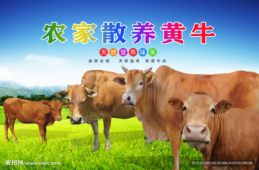 黃牛