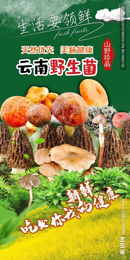 野生菌廣告 