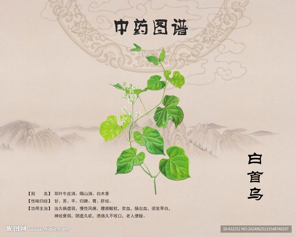 白首烏