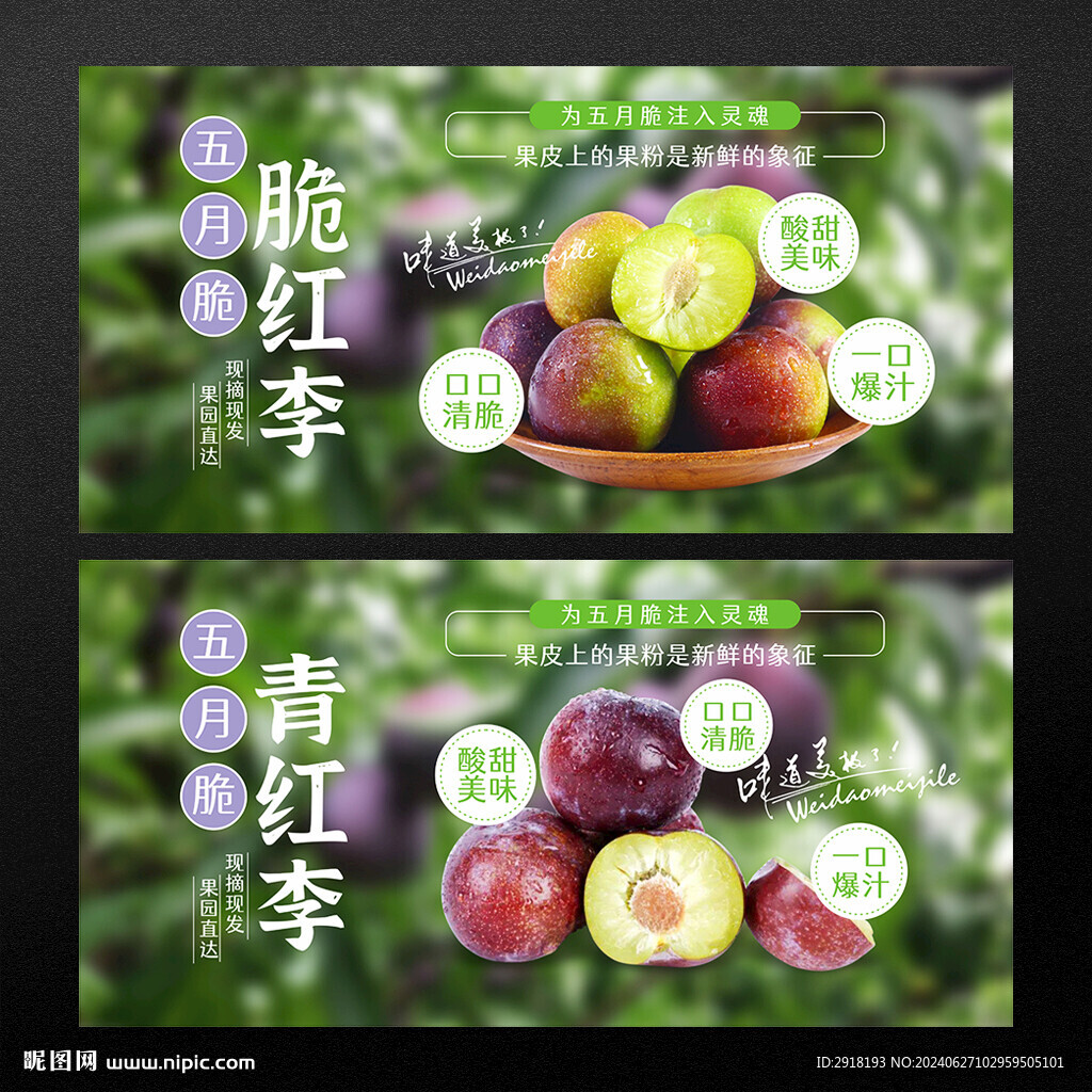 脆紅李