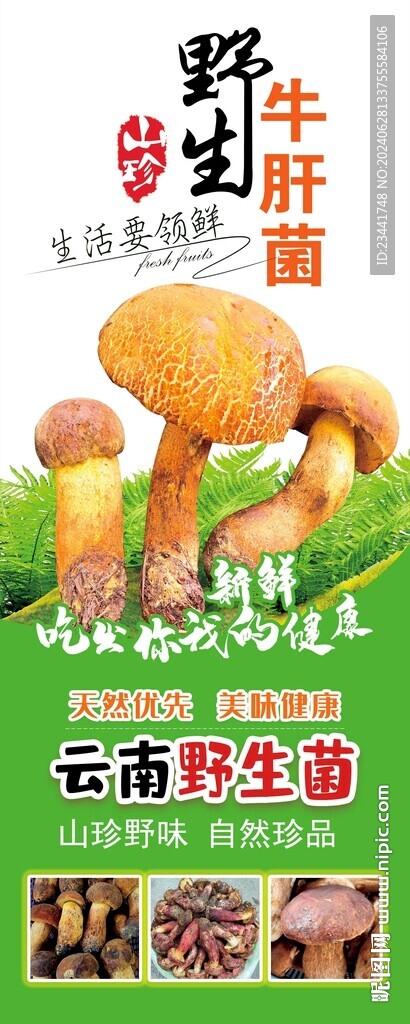 野生菌廣告 