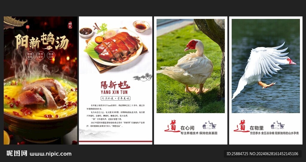 番鴨