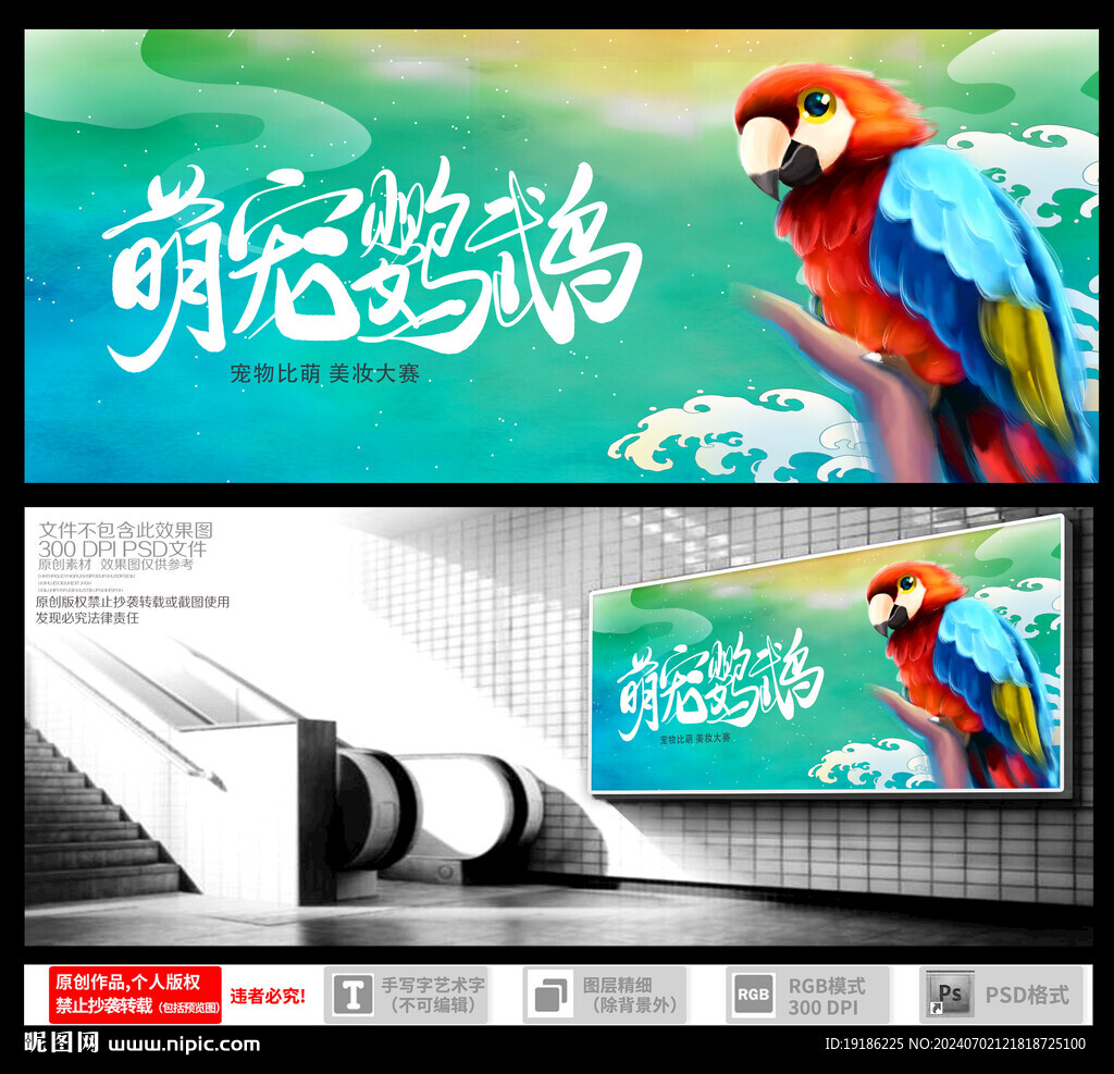 鸚鵡