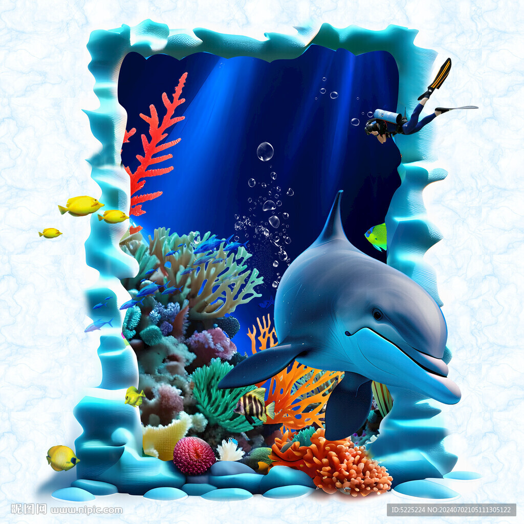 海豚