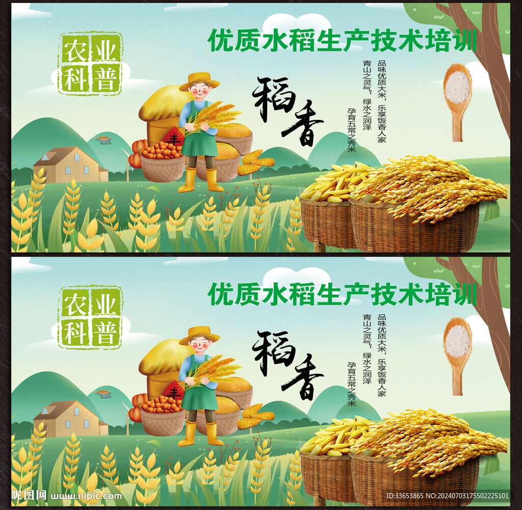 水稻展板
