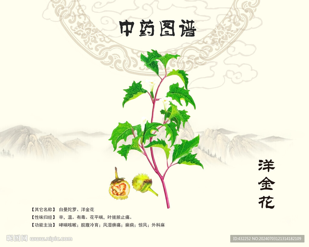 洋金花