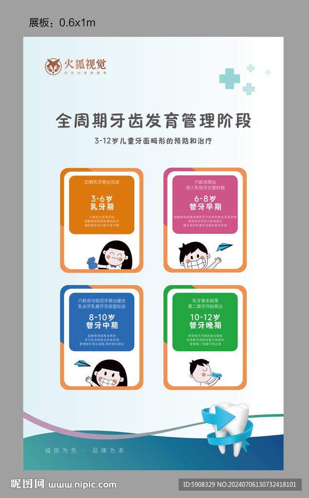 兒童牙齒發(fā)育展板