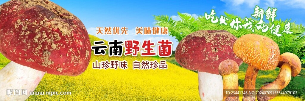 云南野生菌