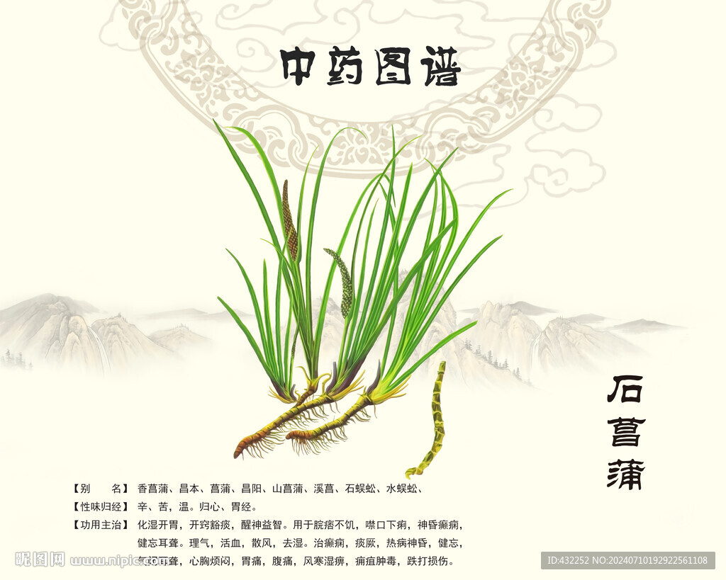 菖蒲石菖蒲