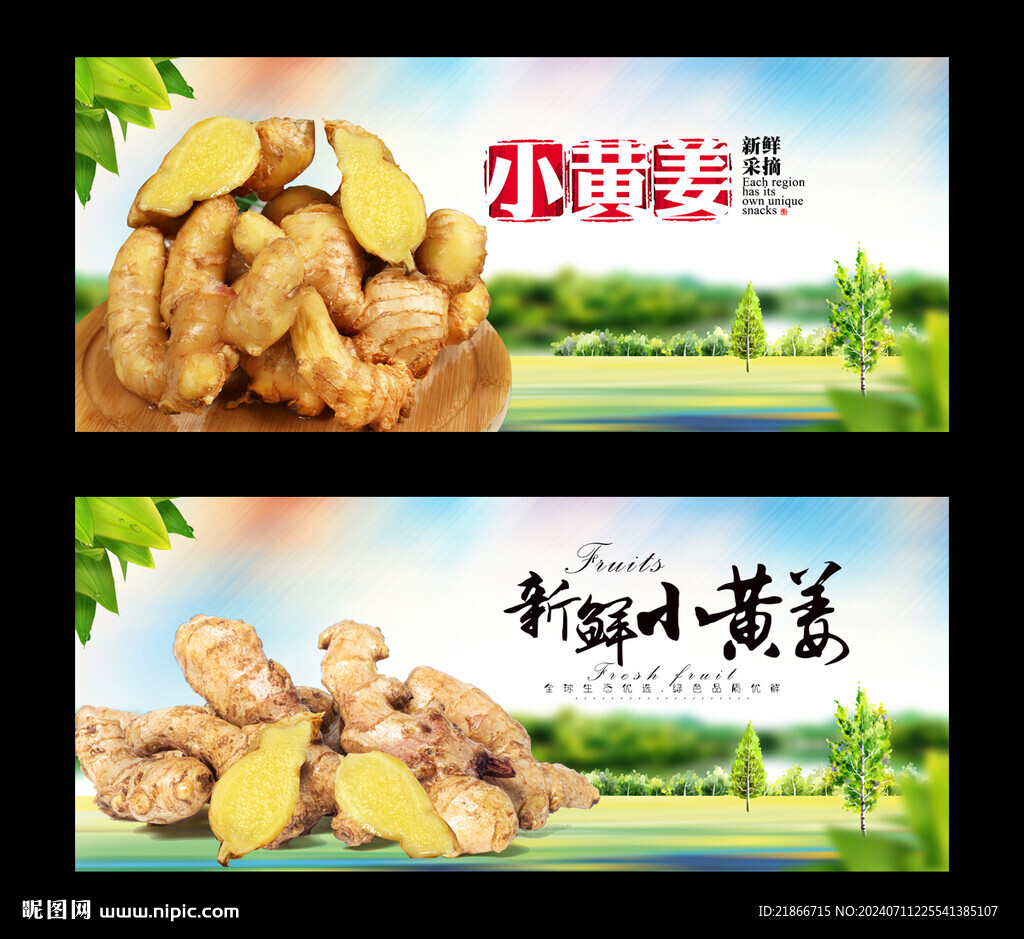 小黃姜