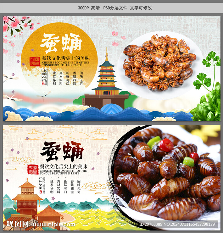 蠶蛹